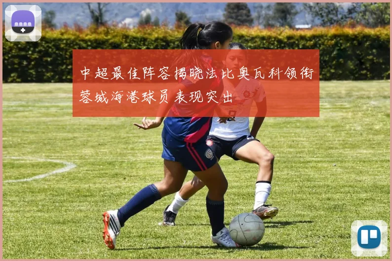 中超最佳阵容揭晓法比奥瓦科领衔蓉城海港球员表现突出