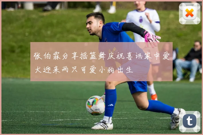 张伯霖分享摇篮舞庆祝喜讯家中爱犬迎来两只可爱小狗出生