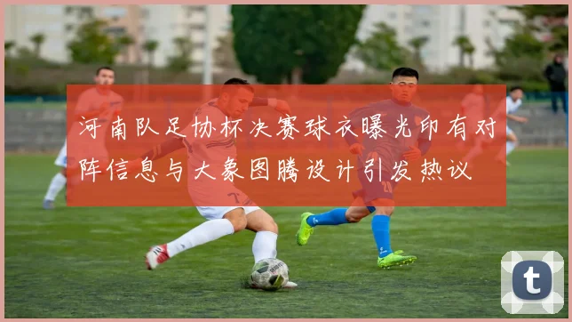 河南队足协杯决赛球衣曝光印有对阵信息与大象图腾设计引发热议
